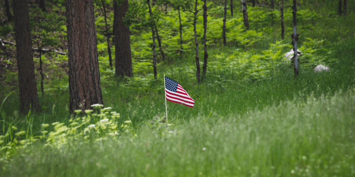 EPA Repeals Landmark Climate Regulation, Reshaping U.S. Environmental Policy