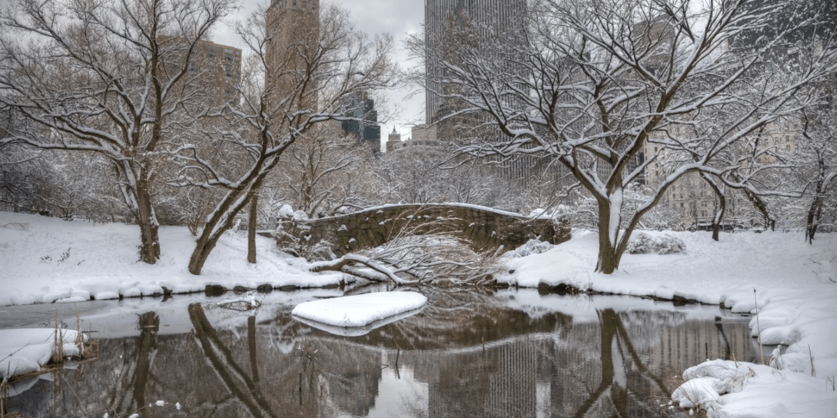 New york's winter tourism