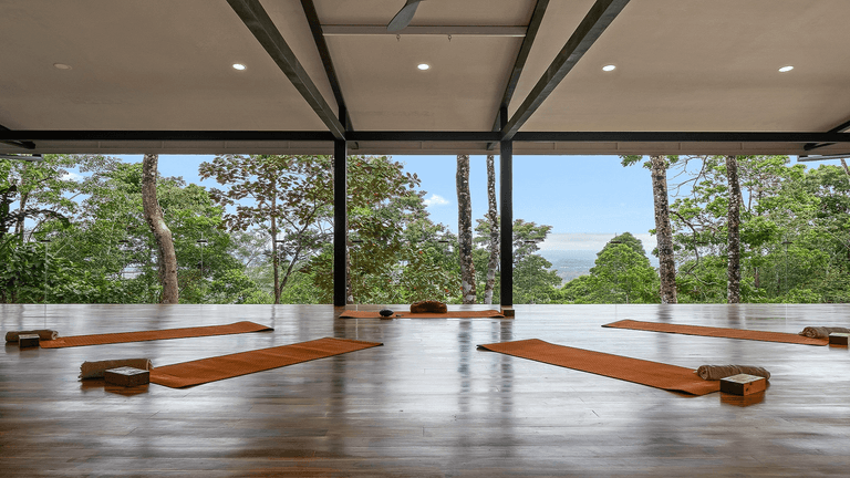 Serene Pilates studio with wooden floors, mats, props, and large windows overlooking lush greenery, promoting wellness and tranquility