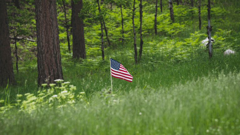 EPA Repeals Landmark Climate Regulation, Reshaping U.S. Environmental Policy