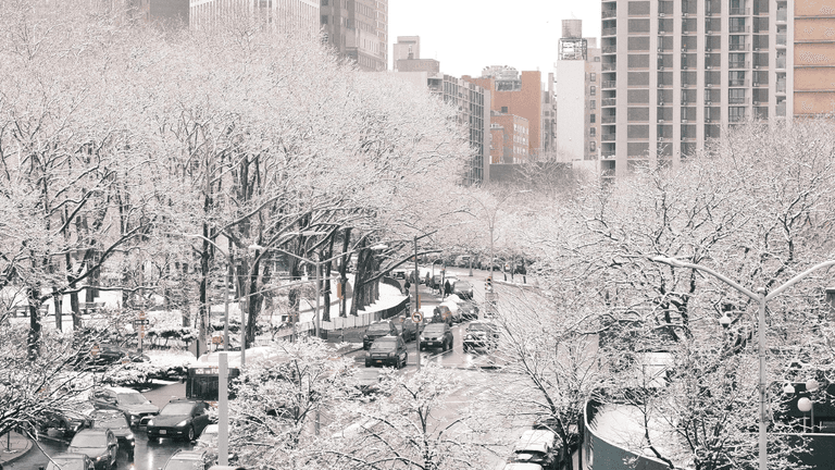 New York City’s Classic Snow Day: A Triumph for Students and Families Amid Winter Storm