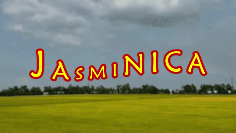 Image showcasing Jasminica, a Ghana-based rice supplier focused on providing flexible payment terms and reliable food access to organizations across West Africa, with a lush rice field backdrop symbolizing the company's mission to improve food security.