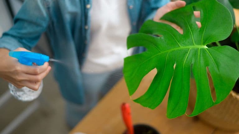 Scientists at UC Berkeley Discover ‘Olo’: A Color Never Before Seen by Humans