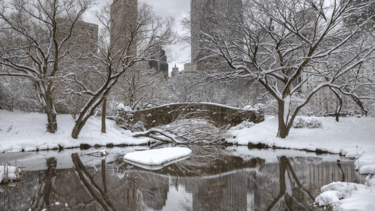 New york's winter tourism