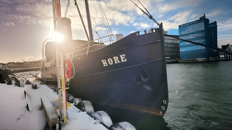 Viveka's leadership in Malmö’s women-driven innovation hub fosters creativity, collaboration, and sustainable entrepreneurial growth within diverse communities.