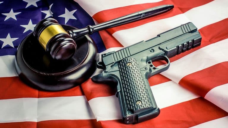 The National Gun Violence Prevention Act: A Historic Victory for Gun Control in the U.S.