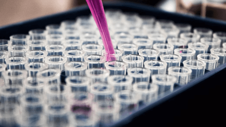 Cancer research