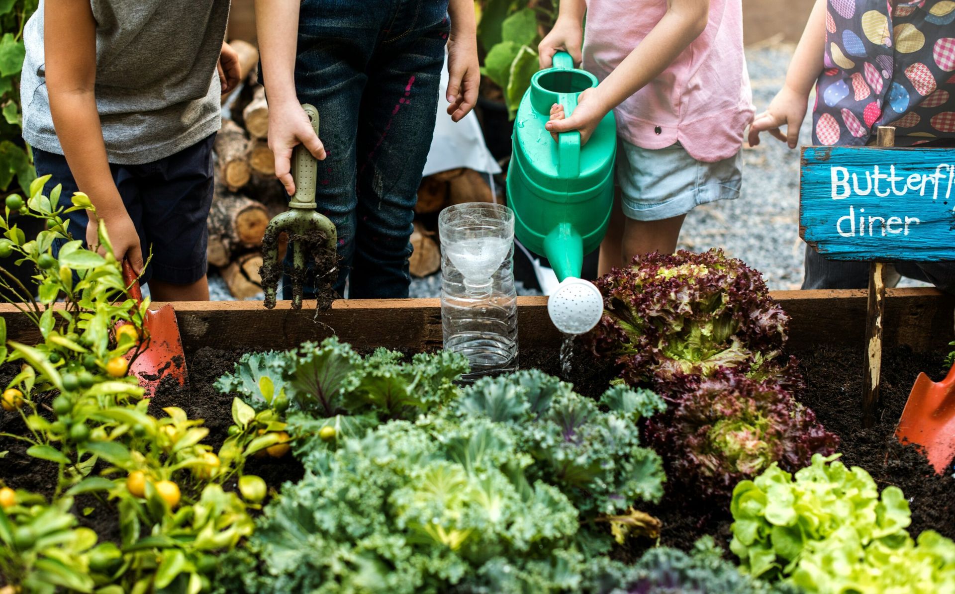 New York Launches City-Wide Urban Farming Initiative to Combat Food Insecurity