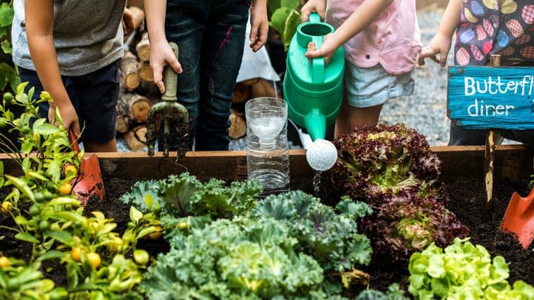 New York Launches City-Wide Urban Farming Initiative to Combat Food Insecurity