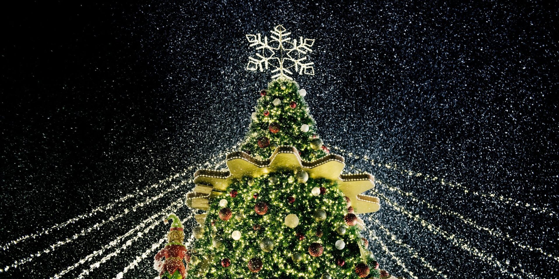 The 2024 National Christmas Tree Lighting Ceremony – A Celebration of Unity and Tradition
