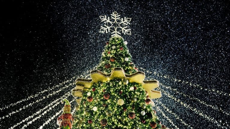 The 2024 National Christmas Tree Lighting Ceremony – A Celebration of Unity and Tradition