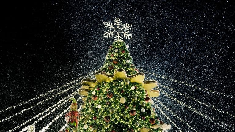 December 5, 2022: 2022 Rockefeller Center Christmas Tree Lighting Brings Joy to NYC