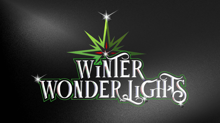Winter WonderLights logo with sparkling text and starburst design promoting New Jersey’s largest animated holiday light show.