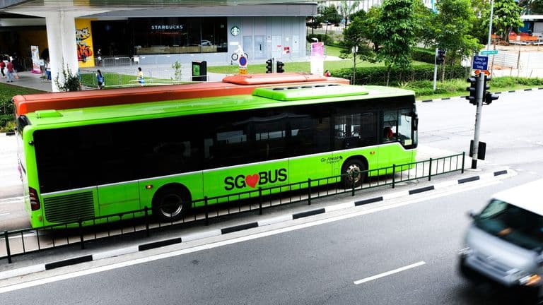 New York City’s Groundbreaking Launch of the “Green Wave” Transportation Initiative Takes Major Step Toward Sustainable Future