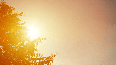 Dangerous Heat Wave Disrupts Fourth of July Travel and Celebrations Across the United States
