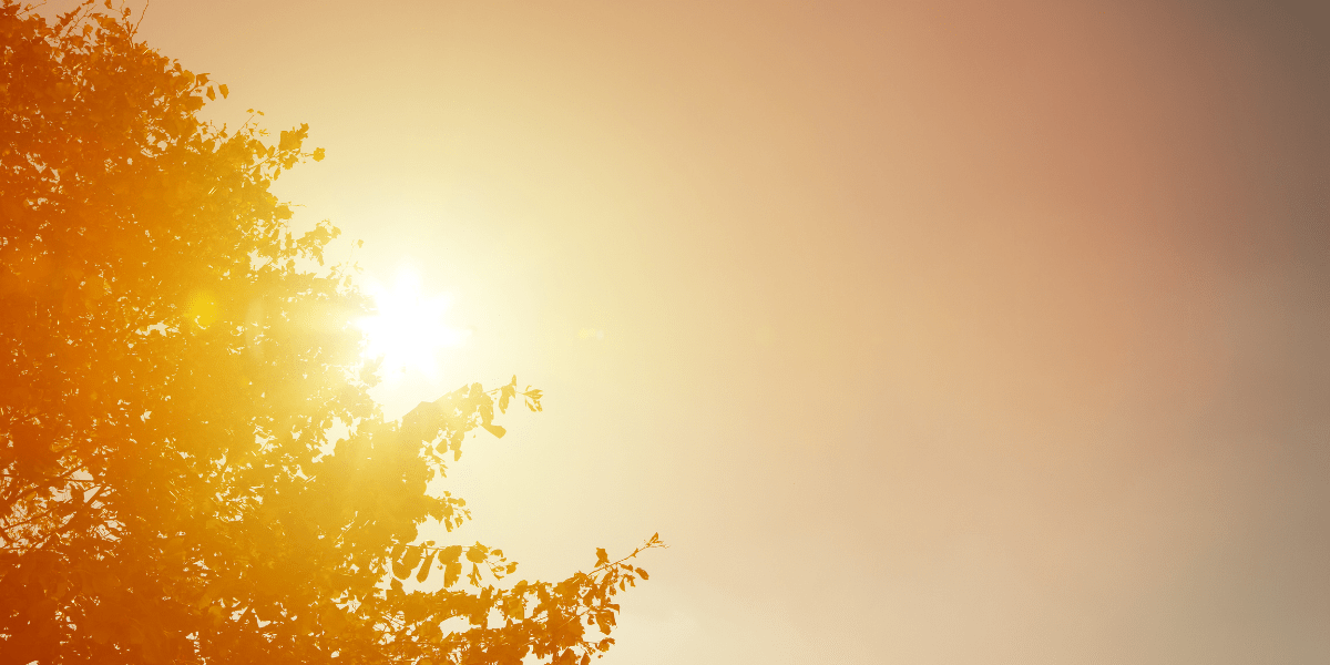 Dangerous Heat Wave Disrupts Fourth of July Travel and Celebrations Across the United States