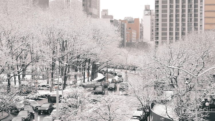 New York City’s Classic Snow Day: A Triumph for Students and Families Amid Winter Storm