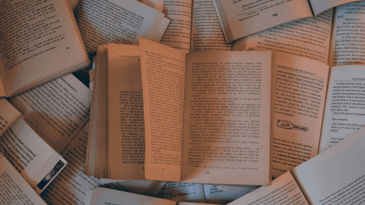 A collection of open books scattered on a surface, displaying pages with text in a warm, soft lighting.