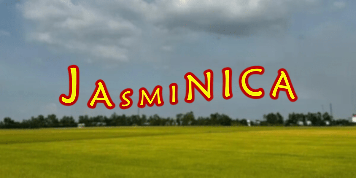 Image showcasing Jasminica, a Ghana-based rice supplier focused on providing flexible payment terms and reliable food access to organizations across West Africa, with a lush rice field backdrop symbolizing the company's mission to improve food security.