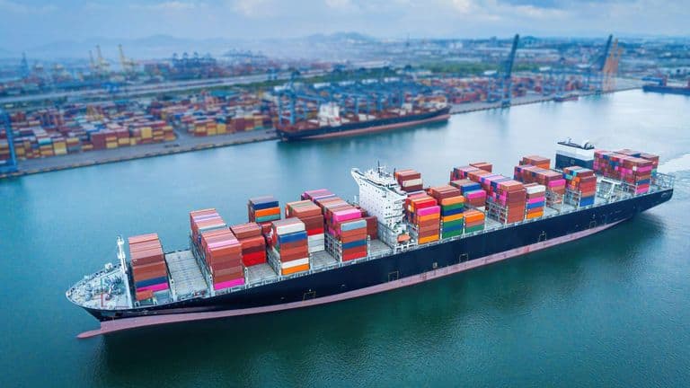 Unions Show Paradoxical Support for Trump’s Tariffs