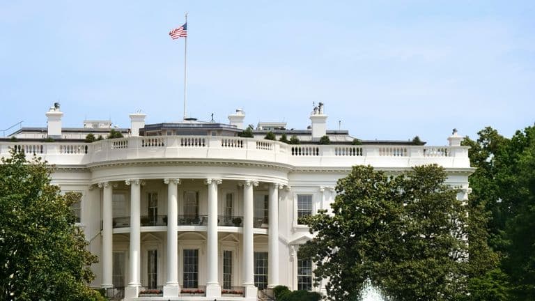 Trump Proposes UFC Title Fight at White House for America’s 250th Celebration