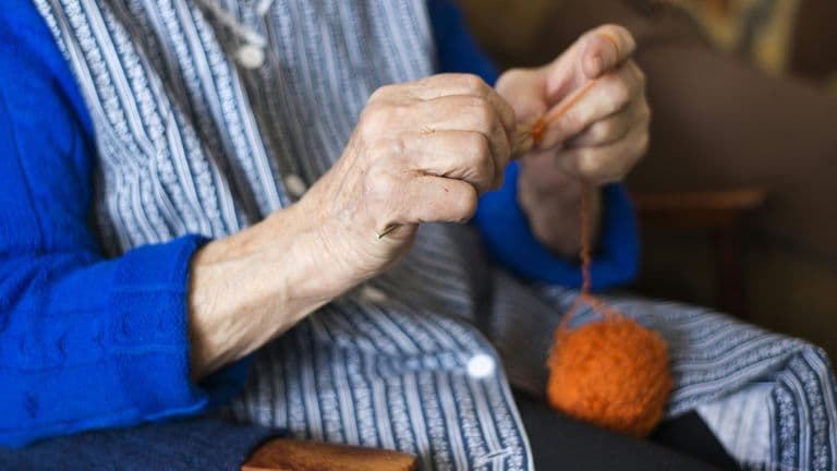 SPINEXPO New York 2025 Highlights Sustainable Innovations in Yarn and Knitwear
