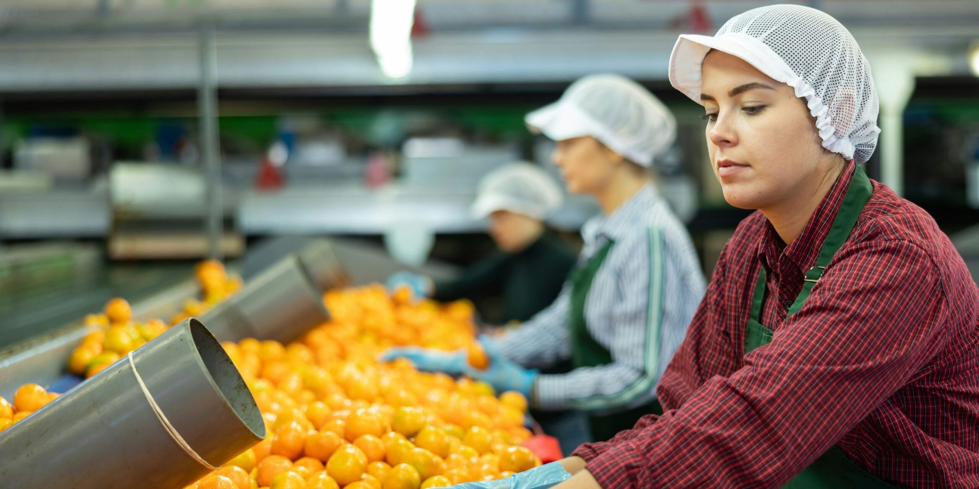 Strong Labor Data Supports Market Confidence Ahead of Corporate Earnings