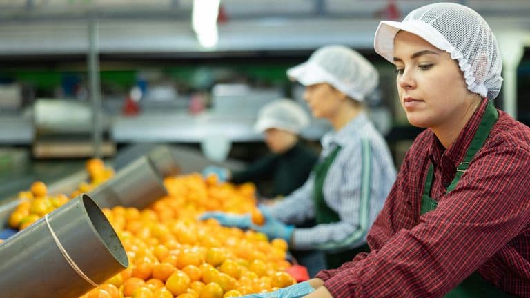 Strong Labor Data Supports Market Confidence Ahead of Corporate Earnings