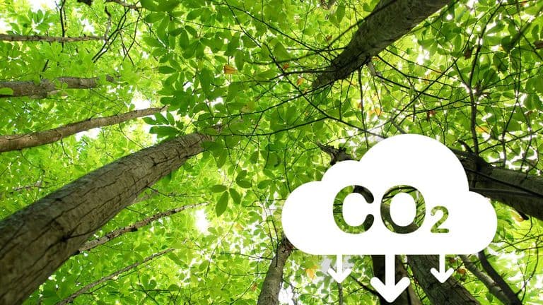 COP28 and the Fashion Industry’s Role in Climate Action