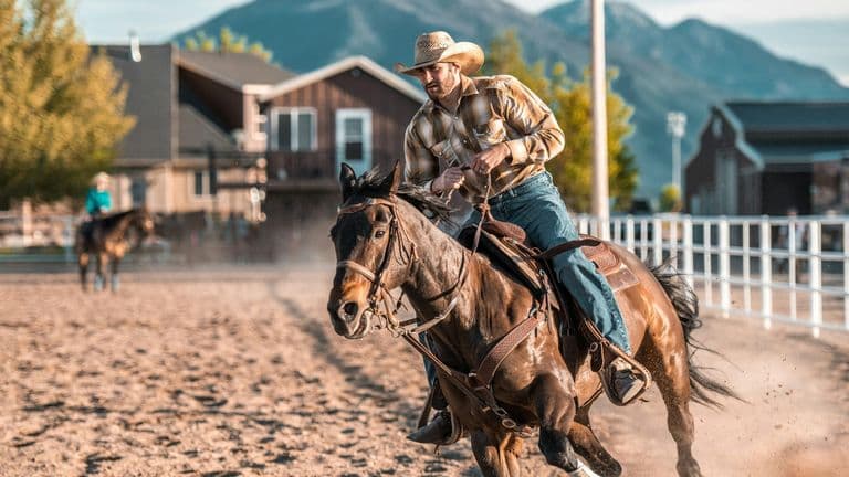 The 2024 National Finals Rodeo – A Showcase of Strength and Tradition