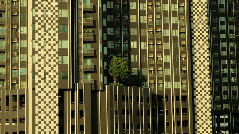 Breakthrough in Urban Vertical Farming: NYC’s First Commercial Skyscraper Farm Opens