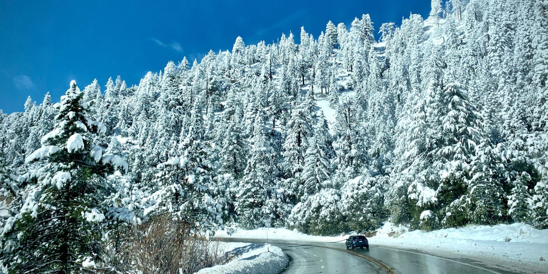 Unseasonal May Nor’easter Brings Snow to New England
