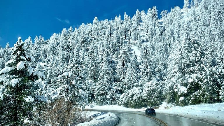 Unseasonal May Nor’easter Brings Snow to New England