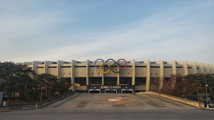 Team USA Shines at Beijing 2022 Winter Olympics