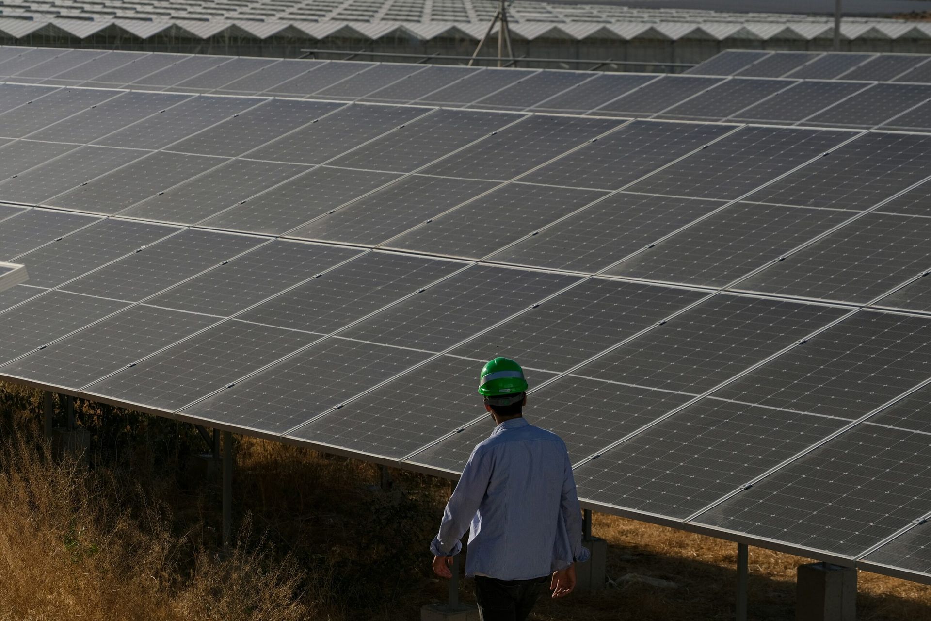 U.S. Hits Milestone in Renewable Energy as Solar and Wind Power Surpass Coal for the First Time