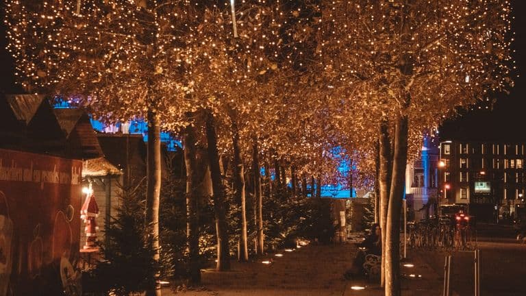 New York City Announces ‘Winter Lights Festival’ to Brighten December 2024