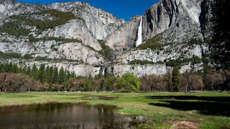 National Parks Service Marks 108 Years of Conservation Excellence and Future Sustainability