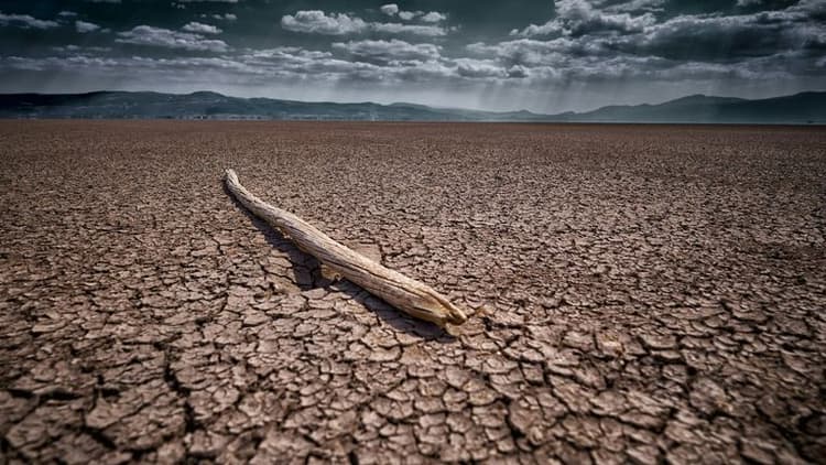 U.S. Inflation, Climate, and the UN Stage