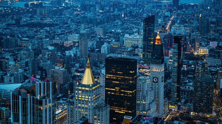 Record‑High Equities and Trade Winds: Wall Street’s Mid‑Summer Rally