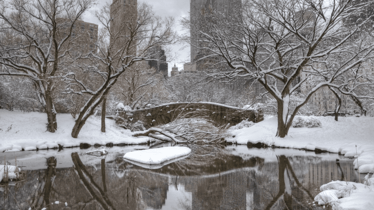 New york's winter tourism