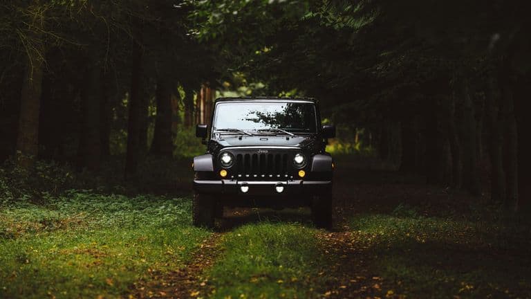Jaguar Land Rover CEO Adrian Mardell to Retire Amidst Tariff Struggles and Rebranding Backlash