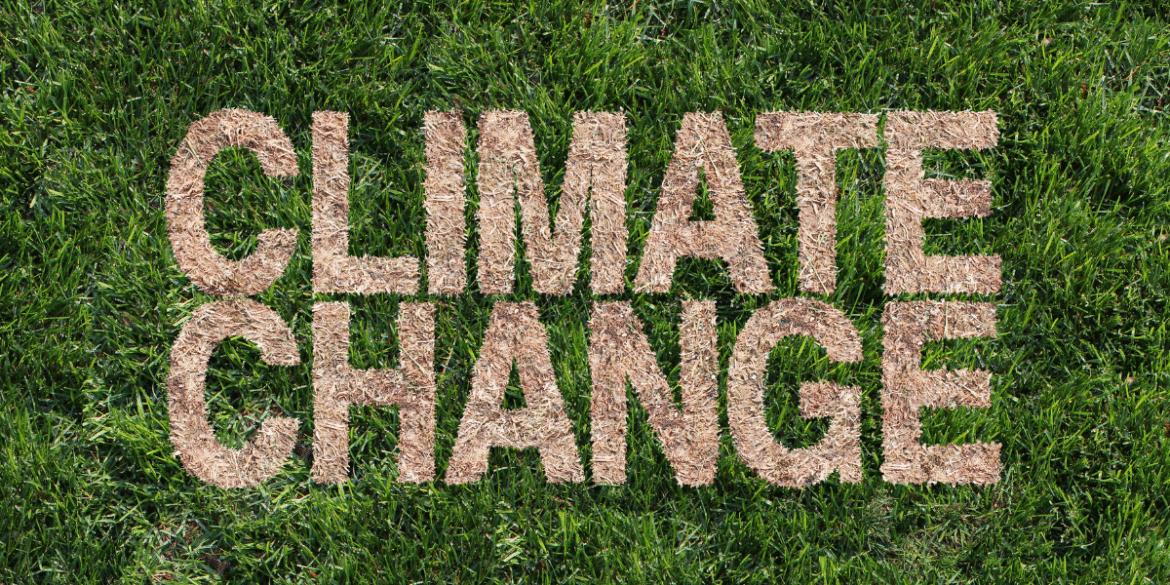 Dnna standard image ( 1200 x 600 ) (5)