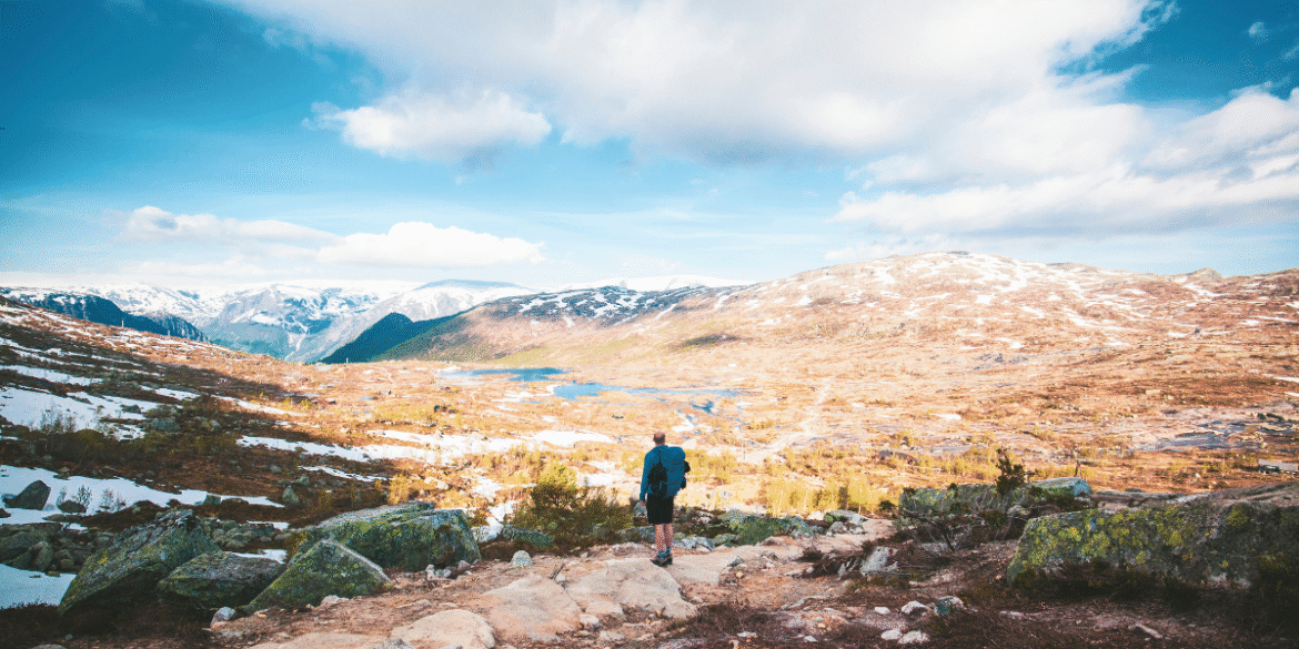 Dnna standard image ( 1200 x 600 ) (9)