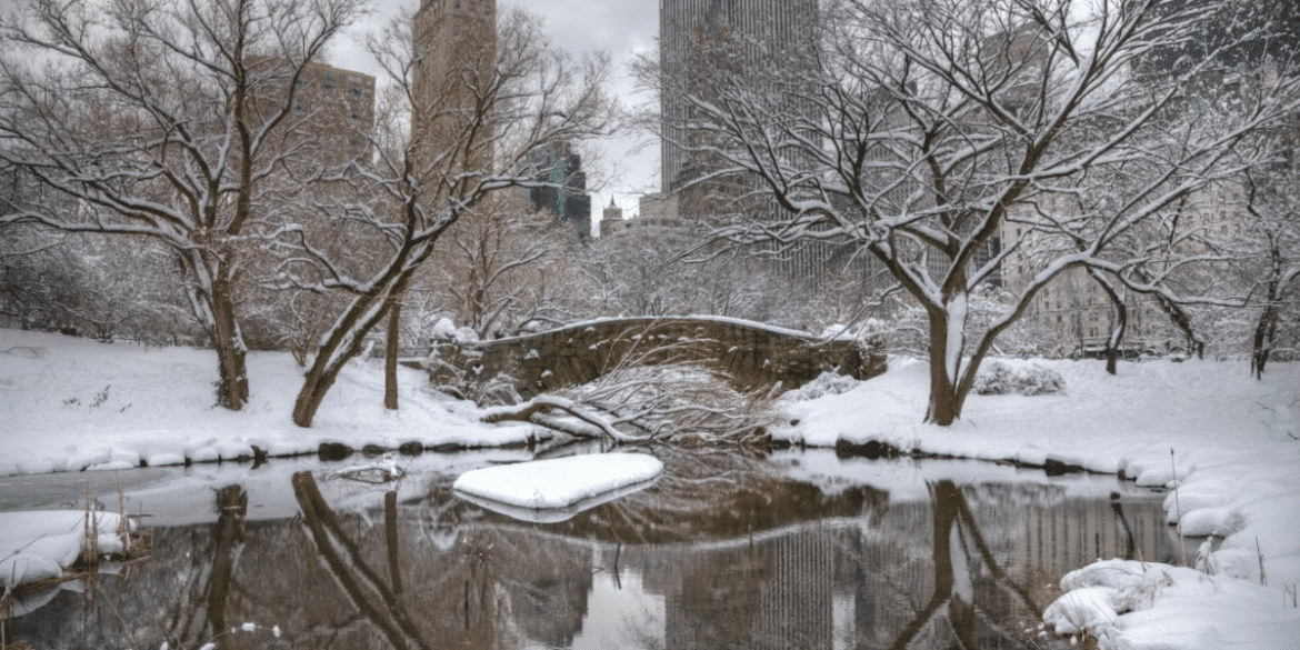 New york's winter tourism