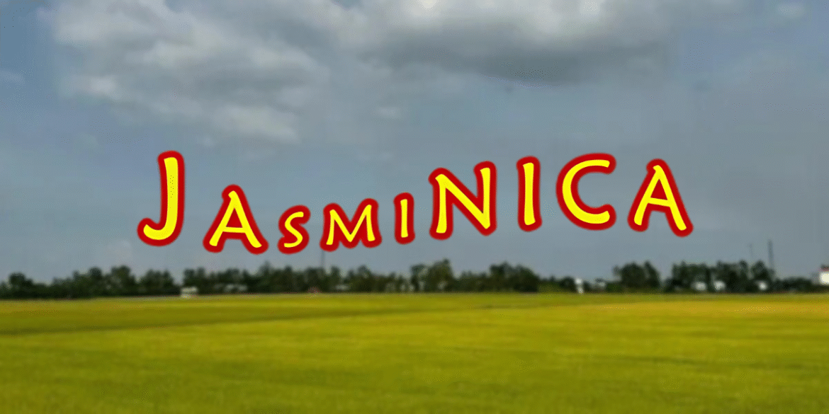 Image showcasing Jasminica, a Ghana-based rice supplier focused on providing flexible payment terms and reliable food access to organizations across West Africa, with a lush rice field backdrop symbolizing the company's mission to improve food security.